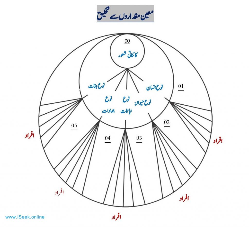 معین مقداروں سے تخلیق